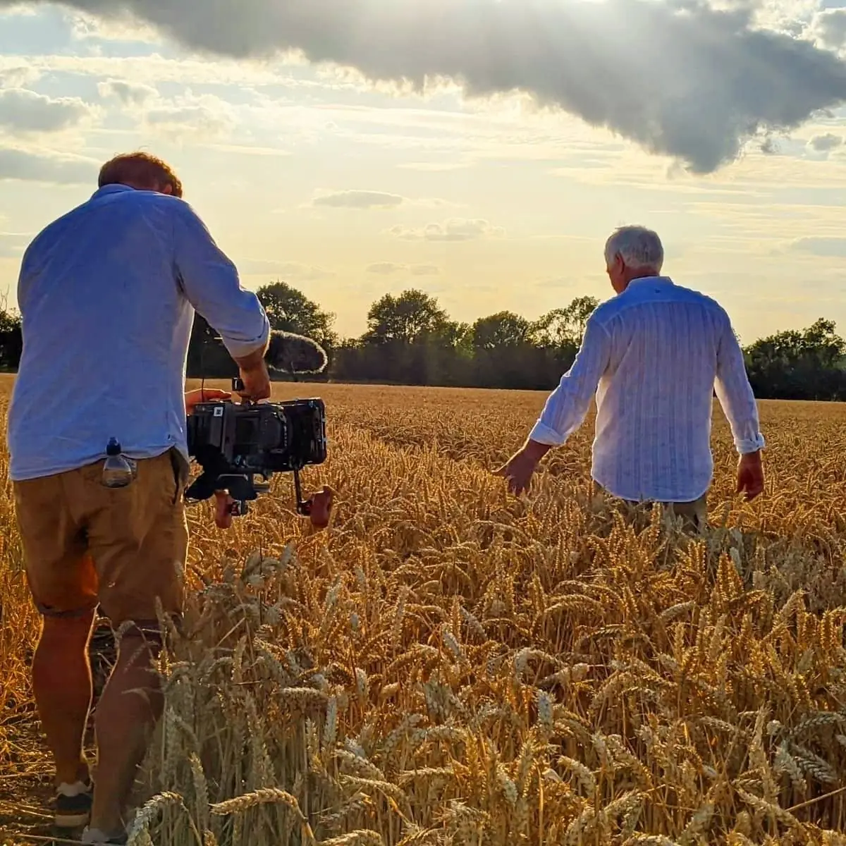 Two men in blue shirts walking away through a wheat field under a cloudy sky, one carrying a camera on a shoulder rig