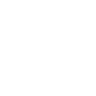 LEGO logo