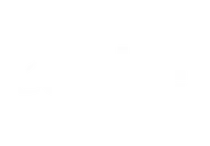 Shire logo
