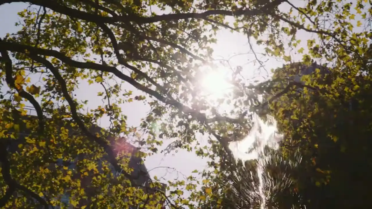 Frames from the First Last Film showreel, cut from the OakNorth, Dojo, Culford School and ASK Partners films.
